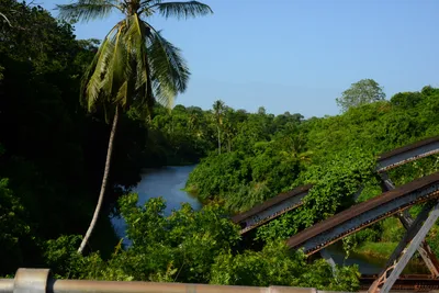 DSC_8481 (Large).JPG